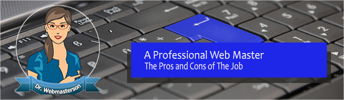 The Pros and Cons of Being a Professional Web Master